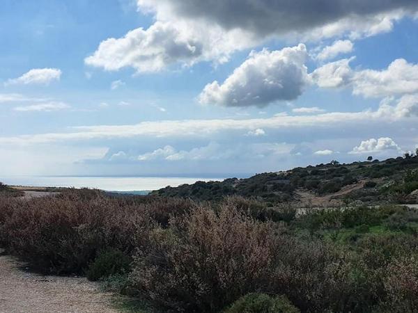 land for sale agios ambrosios limassol 1548141 image 5890720