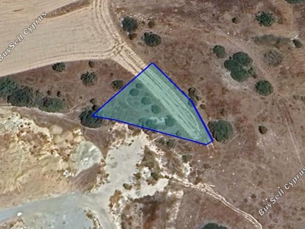 land for sale monagroulli limassol 1932141 image 7600699