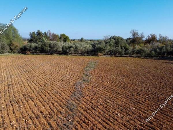land for sale xylofagou larnaca 1637141 image 15839230