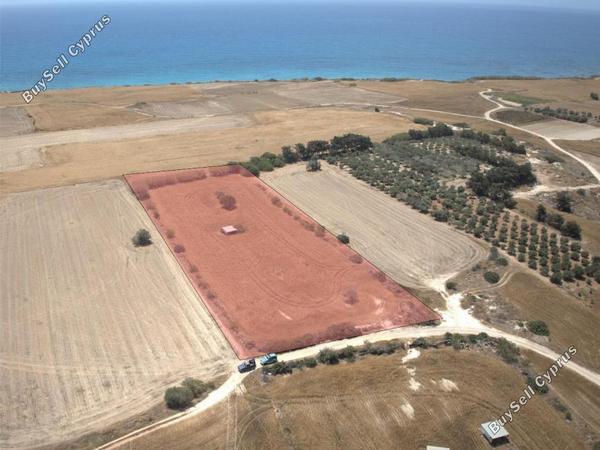 land for sale mazotos larnaca 8081241 image 13096163