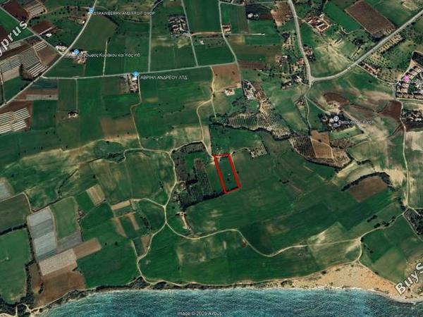 land for sale mazotos larnaca 8081241 image 13096164