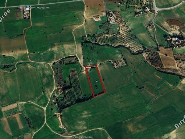 land for sale mazotos larnaca 8081241 image 13096165