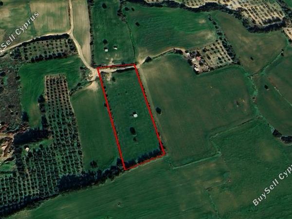 land for sale mazotos larnaca 8081241 image 13096166