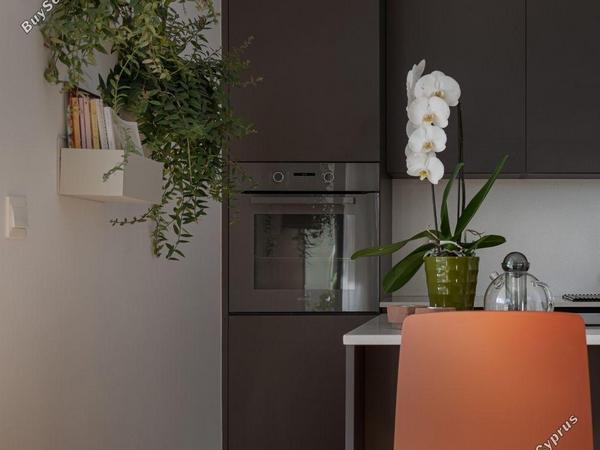 2 bedroom apartment for sale agios andreas nicosia nicosia 8225341 image 14472384