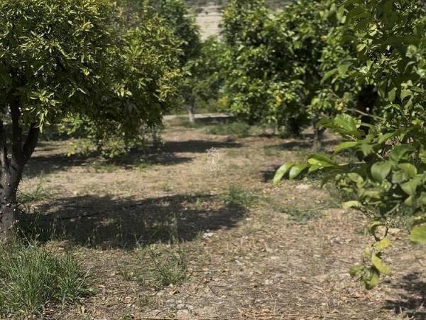 land for sale germasogeia limassol 8532341 image 15561667