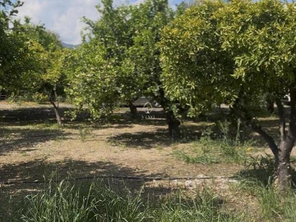land for sale germasogeia limassol 8532341 image 15561668