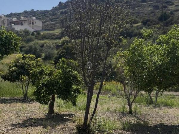 land for sale germasogeia limassol 8532341 image 15561669
