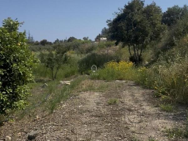 land for sale germasogeia limassol 8532341 image 15561671