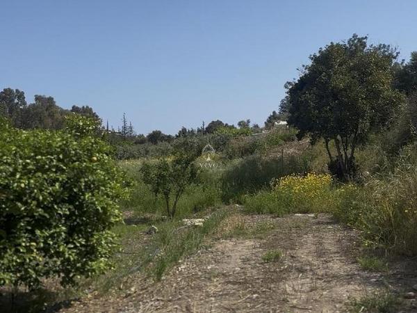 land for sale germasogeia limassol 8532341 image 15561673