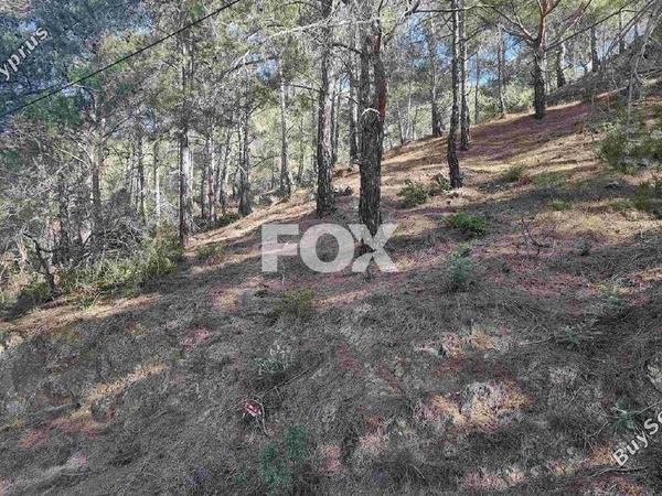 land for sale moniatis limassol 1325341 image 16016224