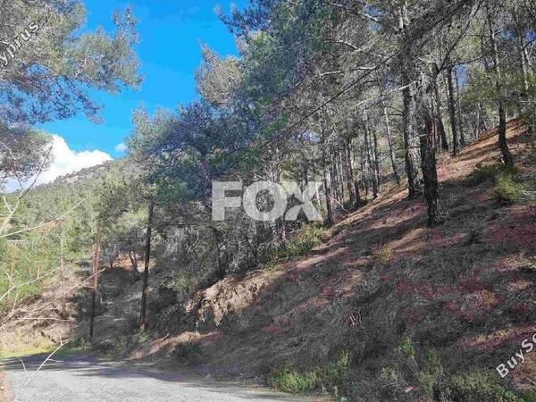 land for sale moniatis limassol 1325341 image 16964088