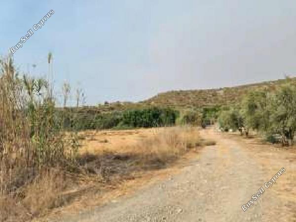land for sale agios theodoros larnacas larnaca 1353441 image 15867405