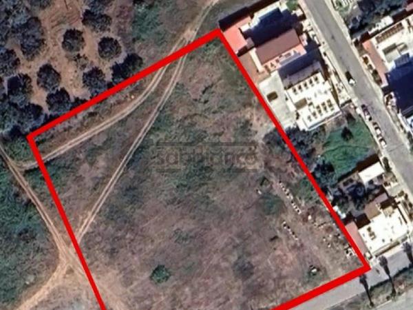 plot for sale zakaki limassol 8739441 image 16371184