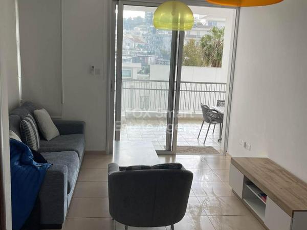 1 bedroom apartment for rent aglantzia nicosia 8524541 image 16334728