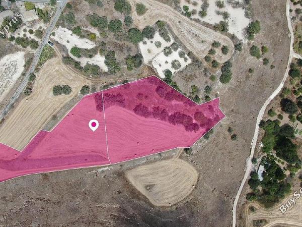 land for sale drynia paphos 8237541 image 14230523