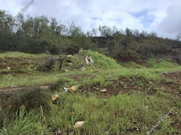 land for sale mandria lemesou limassol 8820541 image 16919956