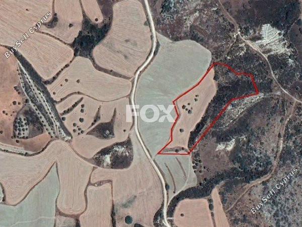land for sale steni paphos 1159541 image 5525469