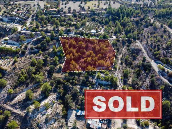 land sold psevdas larnaca 1572541 image 11240602