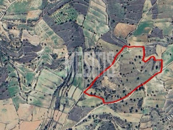 plot for sale pachna limassol 1800541 image 10548723