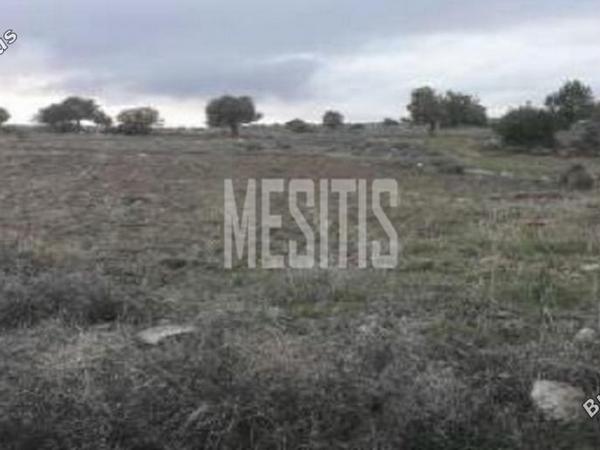 plot for sale pachna limassol 1800541 image 12886879