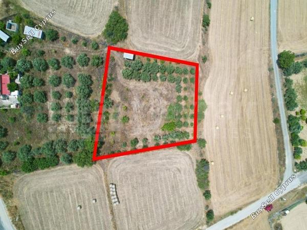 plot for sale pera orinis nicosia 7872541 image 11385644