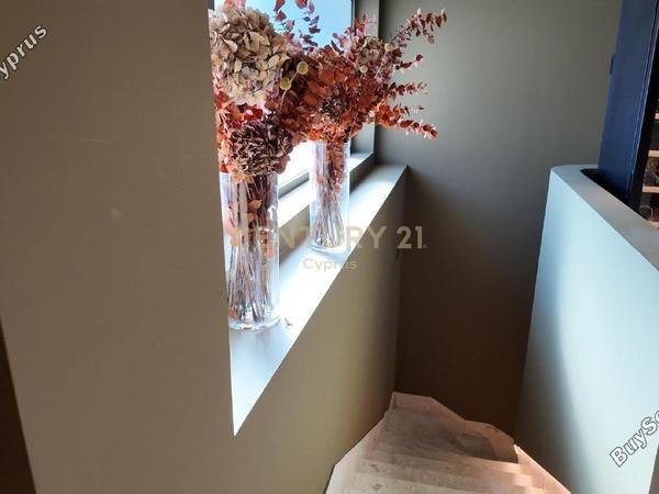 studio shop for sale agia zoni limassol 8468541 image 16586454