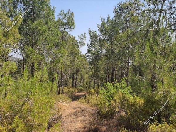 land for sale agios epifanios oreinis nicosia 1380641 image 3399690