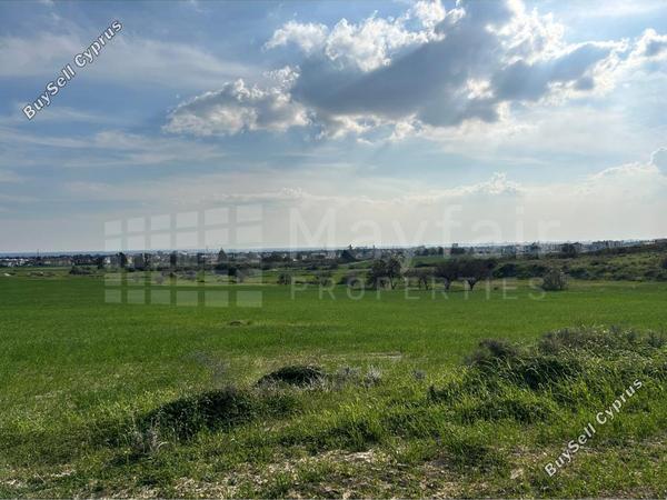 land for sale pyla larnaca 7870641 image 11378757