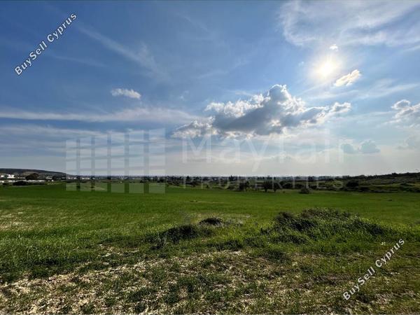 land for sale pyla larnaca 7870641 image 11378758