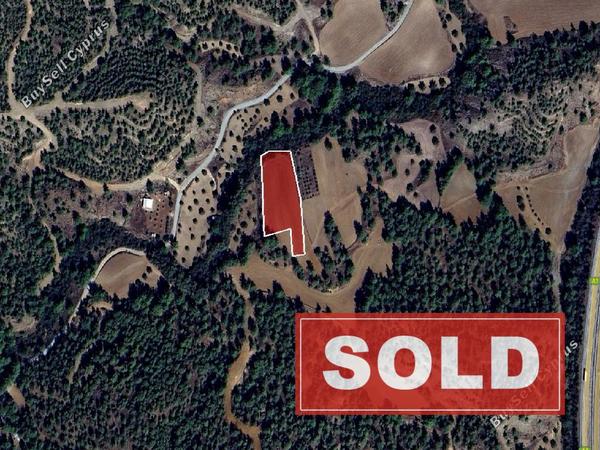 land sold shia nicosia 1896641 image 12828394