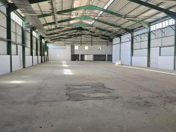 studio apartment for rent aradippou larnaca 8587641 image 16800535