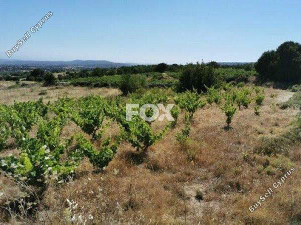 land for sale pachna limassol 1146741 image 5510118