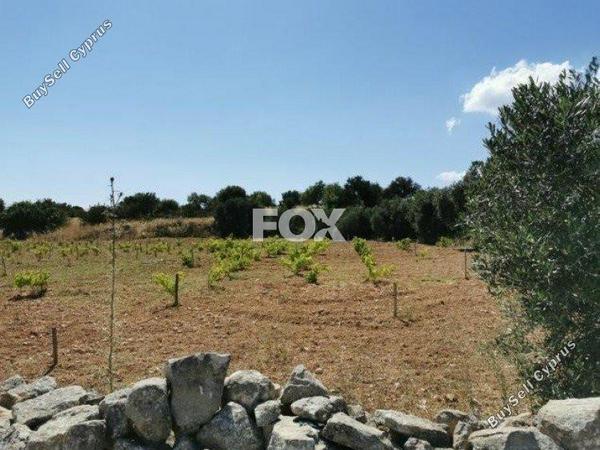 land for sale pachna limassol 1146741 image 5510120