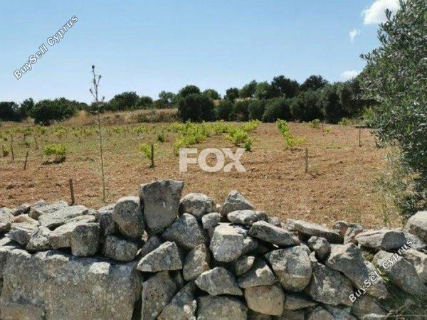 land for sale pachna limassol 1146741 image 5510125