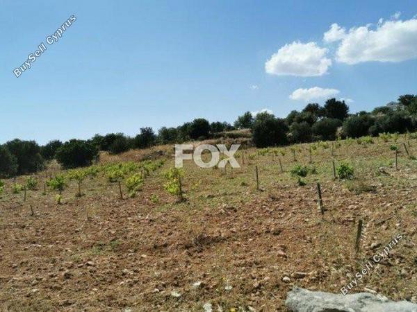 land for sale pachna limassol 1146741 image 5510132