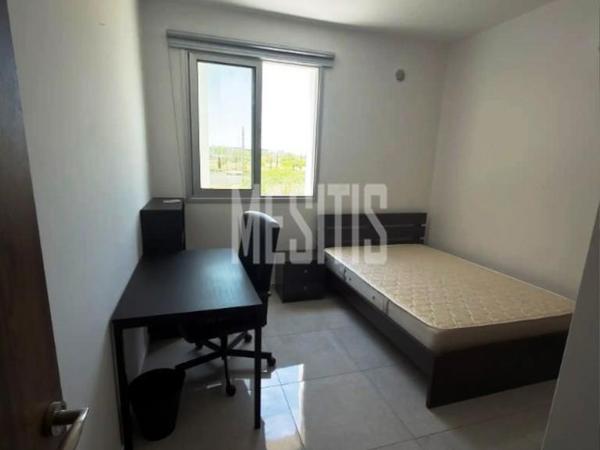 1 bedroom apartment for rent aglantzia nicosia 8798841 image 16725211