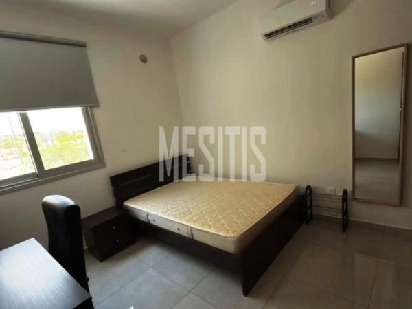 1 bedroom apartment for rent aglantzia nicosia 8798841 image 16725212
