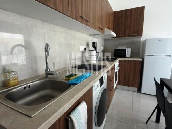 1 bedroom apartment for rent aglantzia nicosia 8798841 image 16725216