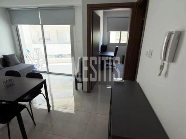 1 bedroom apartment for rent aglantzia nicosia 8798841 image 16725218
