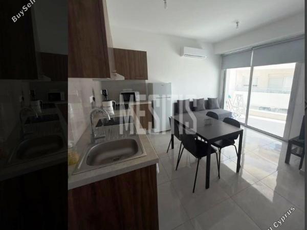 1 bedroom apartment for rent aglantzia nicosia 8798841 image 16725219