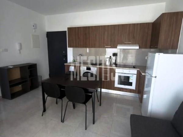 1 bedroom apartment for rent aglantzia nicosia 8798841 image 16725222