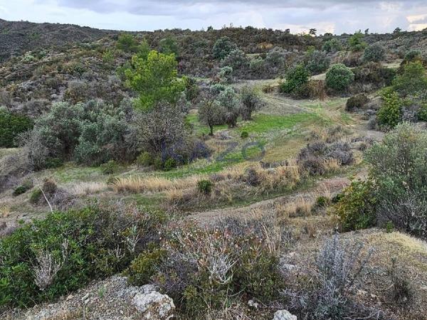 land for sale asgata limassol 7740841 image 10231782