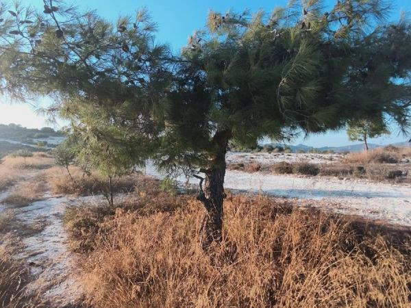 plot for sale vavla larnaca 7573841 image 16130168