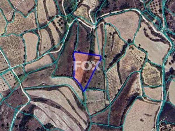 land for sale drynia paphos 7585941 image 9695575