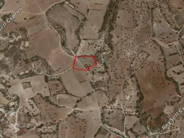 land for sale mazotos larnaca 830941 image 13257452