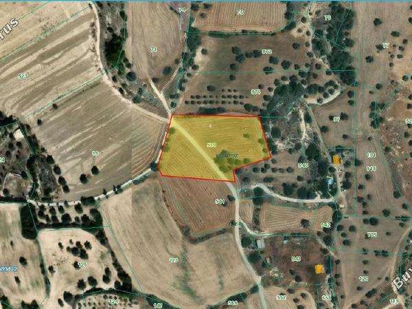 land for sale mazotos larnaca 830941 image 13278924