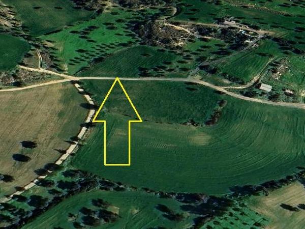 land for sale mazotos larnaca 830941 image 13278925