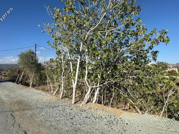 land for sale pyrgos limassol limassol 7799941 image 11024679