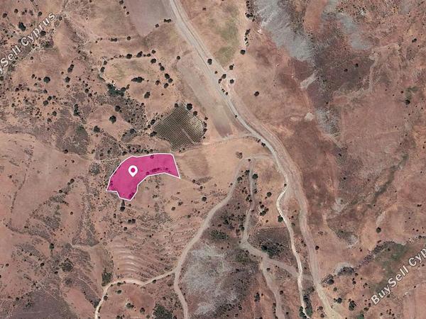 land under offer panagia paphos 1104941 image 15297994