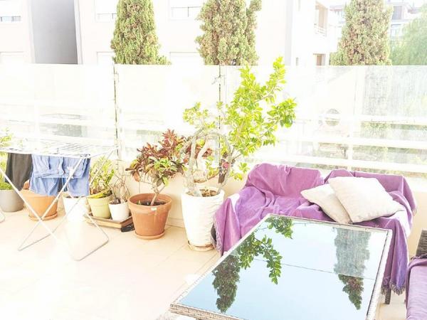 3 bedroom apartment for rent mesa gitonia limassol 1901051 image 14527699